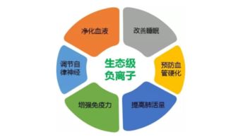 東鵬空氣凈化磚第三方測評(píng) 真能改善室內(nèi)環(huán)境與市容嗎？